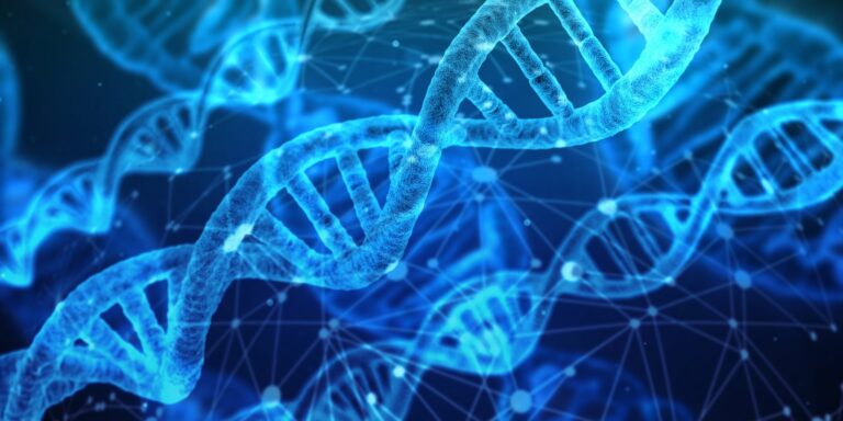 Fælles DNA-sekvenser
