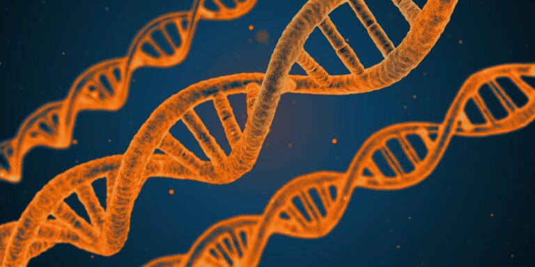 Myten om Junk-DNA ligger for døden