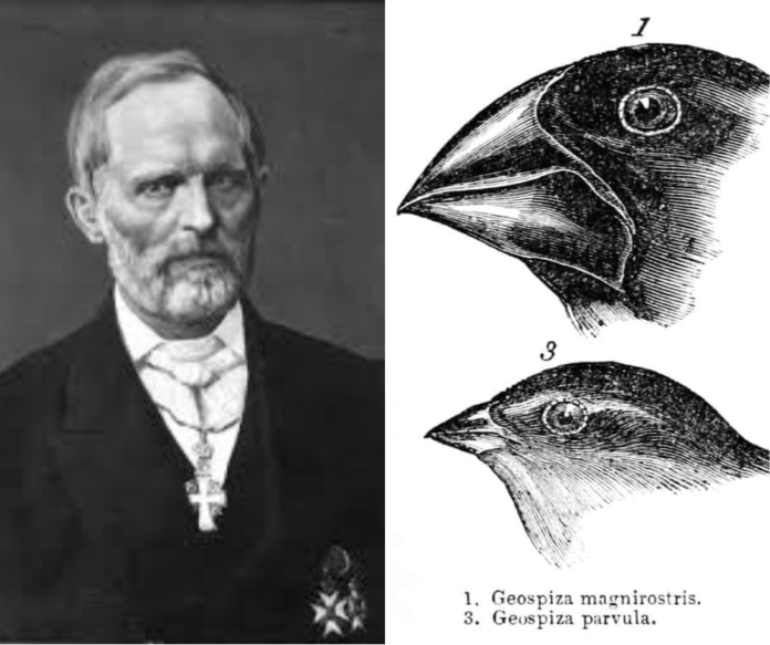 Lochmann og Darwins evolusjonsteori